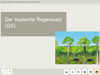 Der Tropische Regenwald Medienportal Der Siemens Stiftung