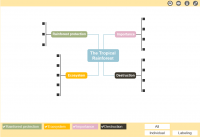 The Tropical Rainforest Mind Map The Siemens Stiftung Media Portal